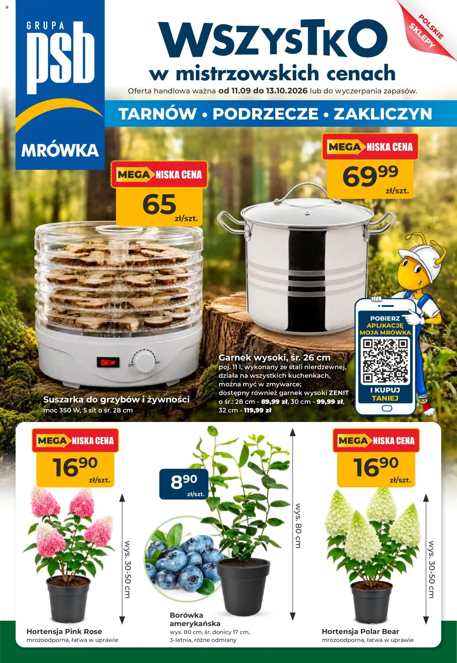Mrówka gazetka - Tarnów - strona 1- ważny od 11.09.2026