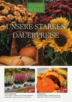 Vorschau Pflanzen-Kölle Prospekt gültig ab 01.10.2026