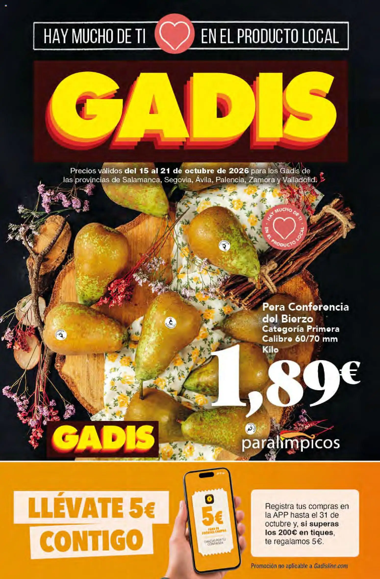 Gadis - folleto - Página de 1 - Válido desde 15/10/2026
