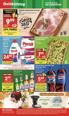 Podgląd Delikatesy Centrum gazetka ważny od 15.10.2026