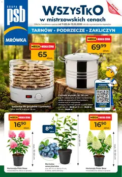 Podgląd Mrówka gazetka - Tarnów ważny od 11.09.2026
