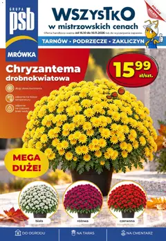 Podgląd Mrówka gazetka ważny od 16.10.2026