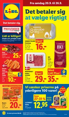 Forhåndsvisning Lidl - Tilbudsavis gyldig fra 20/09/2026