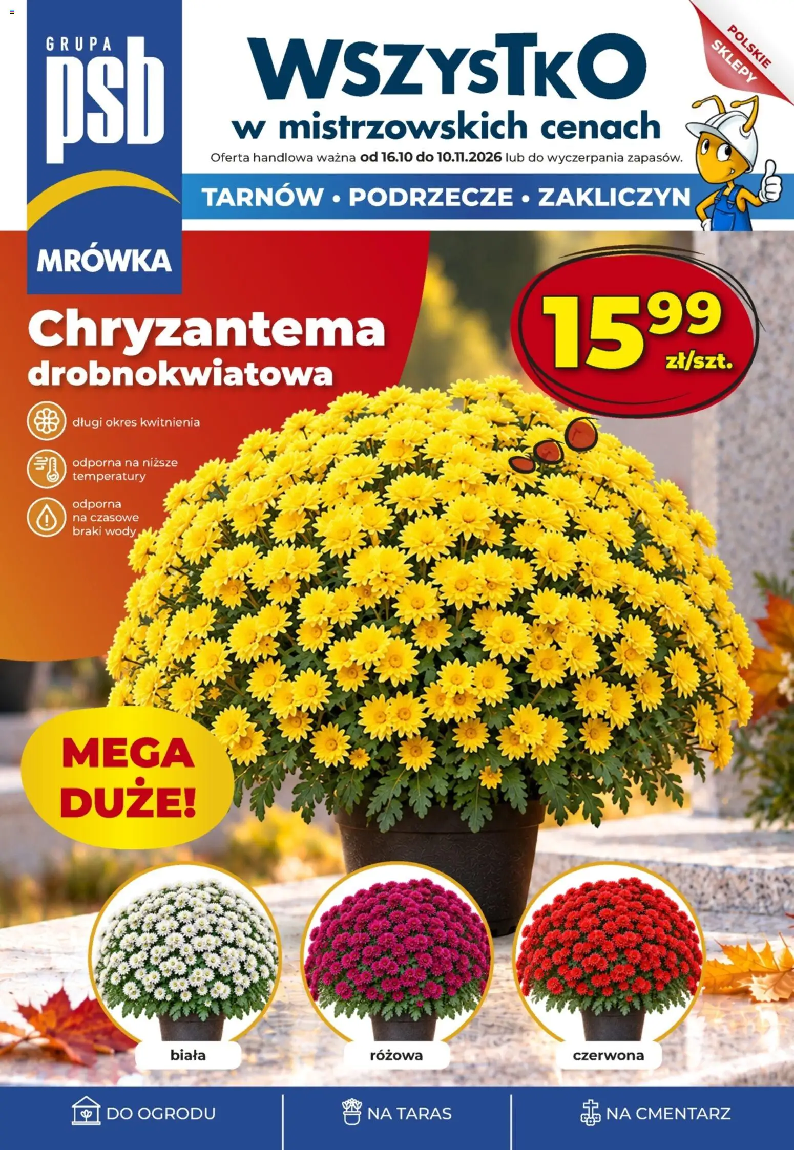 Mrówka gazetka - strona 1- ważny od 16.10.2026