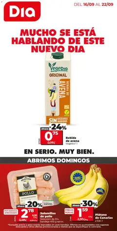 Vista previa del folleto Dia Folleto válido desde 16/09/2026